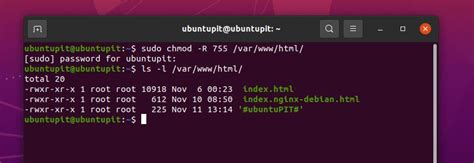 sudo chmod 755|Linux Chmod 755 命令：它有什么作用？ .